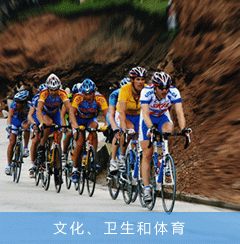 文化、衛(wèi)生和體育